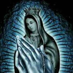 Meet your Posher, Connie